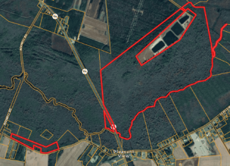 275-Acre Timberland for Sale in Tyrrell County, NC